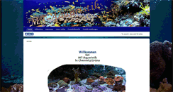 Desktop Screenshot of korallen-shop.com